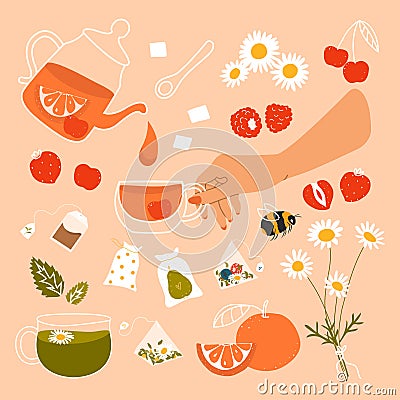 Compote set of elements. Juice with fruits and berries. Summer homemade cocktail. Vector Illustration