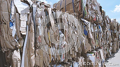 Compressed cardboard - recycling manufactory, close up Stock Photo