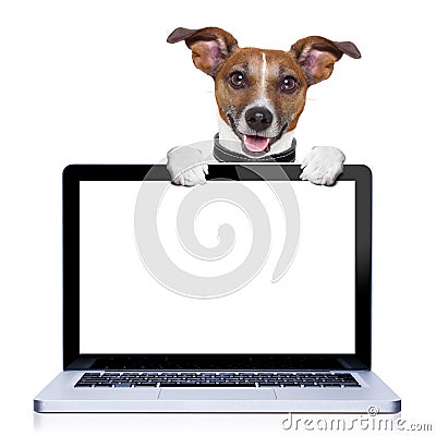 Computer dog Stock Photo