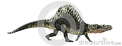 Archosaur Arizonasaurus isolated on white background Cartoon Illustration