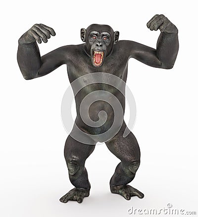 Chimpanzee in a dominant pose Cartoon Illustration