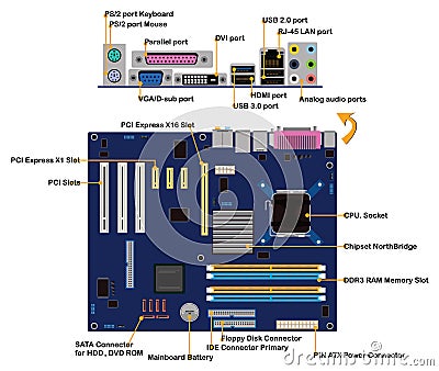 Computer motherboard parts connector ports info Vector Illustration