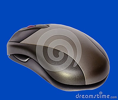 Computer Mouse Stock Photo