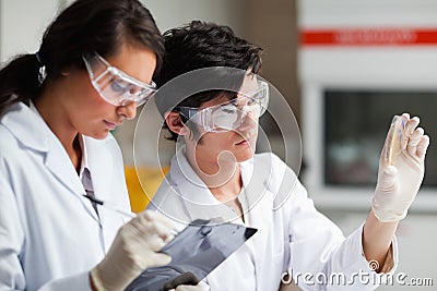 Concentrate science students looking at Petri dish Stock Photo