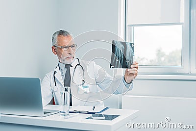 concentrated mature male doctor analyzing x-ray picture at table Stock Photo