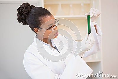 Concentrated scientist analyzing test tube Stock Photo