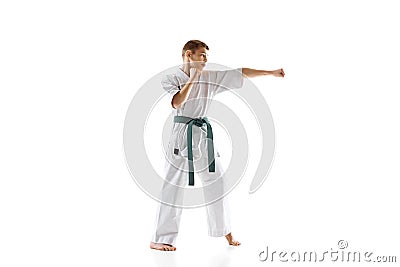 Concentrated teen boy, karate practitioner in defensive stance, showcasing focus and readiness, practicing isolated on Stock Photo