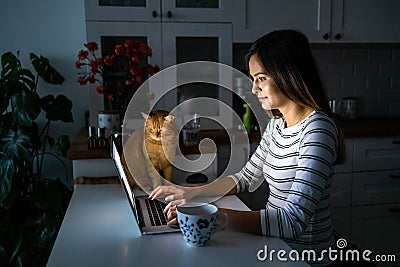 Concentrated woman working late hours with her laptop Stock Photo