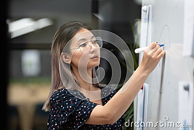 Concentrated young vietnamese speaker coach painting graphs on white board. Stock Photo