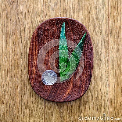 Concept of aloe vera for natural hydration, wellness still-life Stock Photo