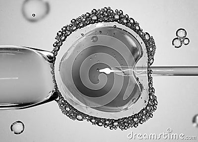 Concept of artificial insemination or fertility treatment. Image Stock Photo