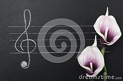 Concept of beautiful melody and music. Top view of free staff, g-clef and flowers on the black surface Stock Photo