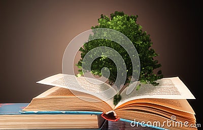 The concept of a book or a tree of knowledge with an oak tree growing from an open book Stock Photo