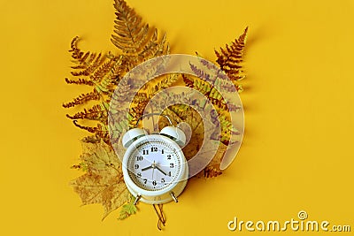 The concept of bright autumn days. Dry fern leaves, yellow maple leaves, alarm clock on a yellow background, top view, place for Stock Photo