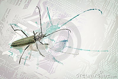 Concept bugs cyberthreatment Stock Photo