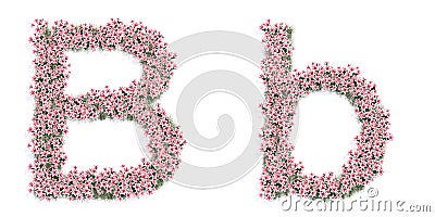 Set of beautifull blooming lilies bouquets forming the font B. 3d illustration metaphor for education Cartoon Illustration