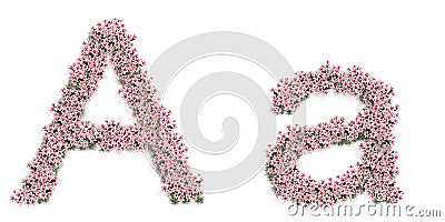 Set of beautifull blooming lilies bouquets forming the font A. 3d illustration metaphor for education Cartoon Illustration