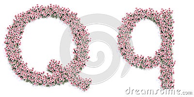 Set of beautifull blooming lilies bouquets forming the font Q. 3d illustration metaphor for education Cartoon Illustration