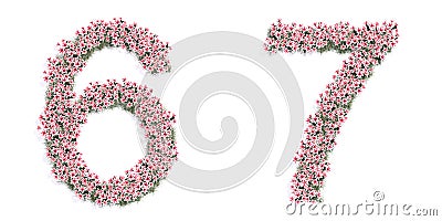 Set of beautifull blooming lilies bouquets forming the fonts 6 and 7 Cartoon Illustration