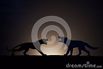 Concept conflict.Tiger versus wolf silhouette Stock Photo