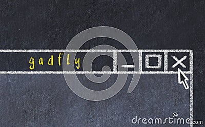 Concept of dealing with problem. Chalk drawing of closing program window with caption gadfly Stock Photo