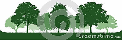 Green Oak Tree Forest Environment Vector Illustration