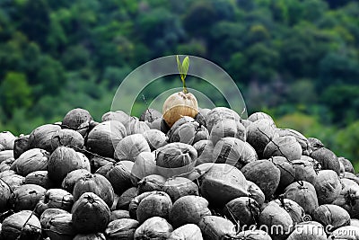 Concept Differentiate from others young plant Stock Photo