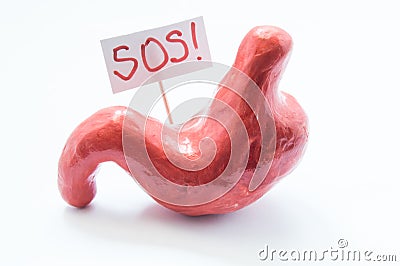 Concept of disease, pathology or unpleasant pain or digestive disorders in stomach. Model of stomach with poster SOS calls for hel Stock Photo