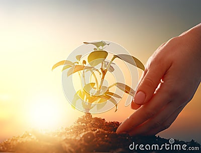 Concept of earth day. Stock Photo