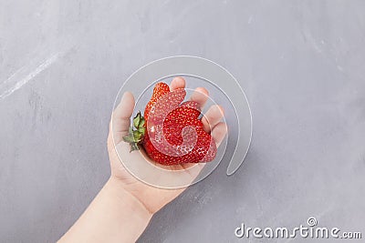 Concept - Eating ugly fruits and vegetables. Children`s hand holds a ripe funny strawberries of unusual shape. Gray background, Stock Photo