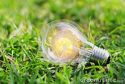 concept eco light bulb on green grass with idea saving power ene Stock Photo