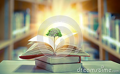 The concept of education by planting a tree of knowledge in the opening of an old book in the library and the magical magic of lig Stock Photo