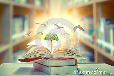 The concept of education by planting a tree of knowledge in the opening of an old book in the library and the magical magic of lig Stock Photo