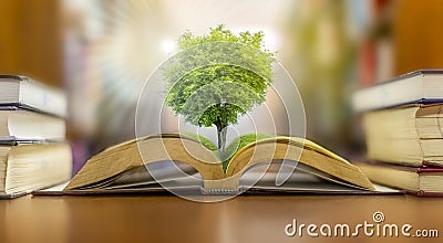 The concept of education in the world, Earth Day or environmental protection, the hand to protect the growing forest Stock Photo