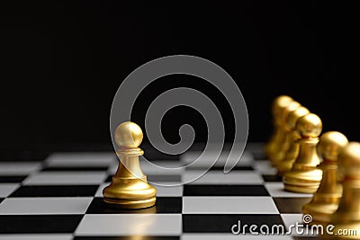 The concept of an elected leader of chess pieces of pawns Stock Photo