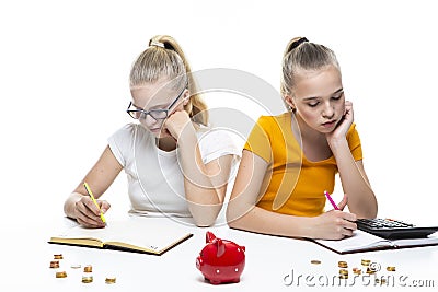 Concept of Finances. Pair of Caucasian Twin Teenage Girls With Notebooks Making Notes. With Stacks of Coins and Moneybox in Stock Photo