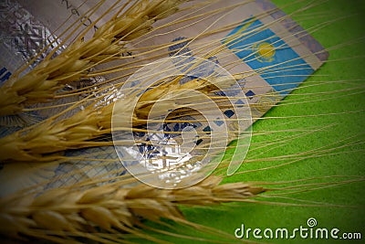 The concept of financial costs for agriculture in Kazakhstan, the price of wheat. Close-up of three spikelets lying on Kazakh Stock Photo