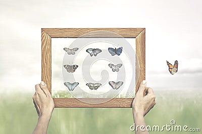 Concept of freedom of a butterfly escaping from the painting of his collector Stock Photo