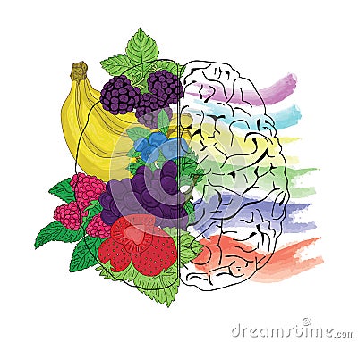 Concept of fruit helpful for healthy brain Vector Illustration