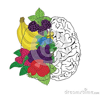 Concept of fruit helpful for healthy brain Vector Illustration