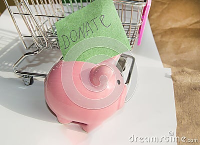 The concept of giving Tuesday and reasonable savings on purchases, a cute piggy bank and shopping cart, on a white Stock Photo