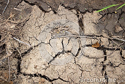 The concept of global warming. A desolate landscape cracked by drought Stock Photo