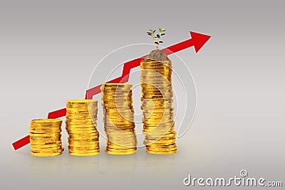 Concept gold coin money grow up, with graph going up Stock Photo