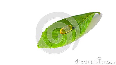 Concept of Healthy Eating Stock Photo