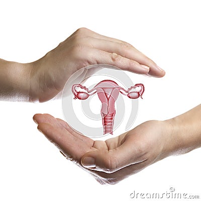 The concept of a healthy female reproductive system. Stock Photo