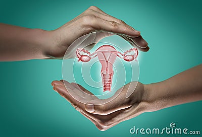 The concept of a healthy female reproductive system. Stock Photo