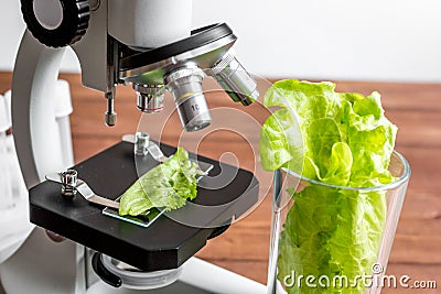 Concept healthy food inspection herbs in laboratory Stock Photo