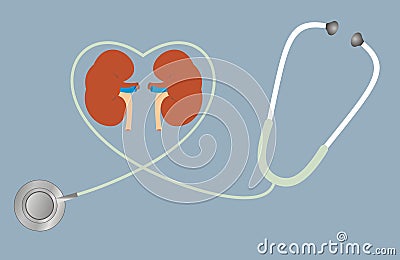 A concept for healthy kidneys. stethoscope in shape of heart. Vector Illustration