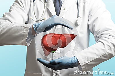 Concept of healthy liver and donation Stock Photo