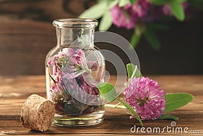 Concept of homeopathy and herbal treatment - pink Trifolium pratense know as clover in a bottle Stock Photo